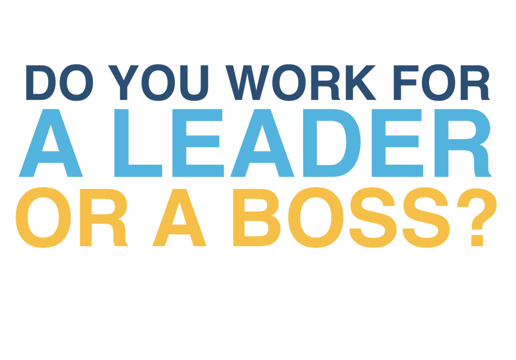 nonprofit leader